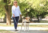 La Gironde restreint l’accès à la prestation de compensation du handicap