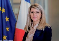 Patricia Mirallès, Secrétaire générale du CIPDR