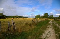 Chemin vers Angé