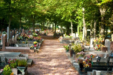 CIMETIERE DE BRETIGNY 19-®Thibault d'Argent 2012