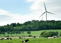 Eoliennes vaches et champs