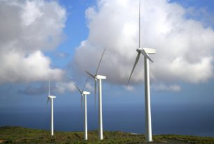 Éolien terrestre : les entreprises de la filière dénoncent « un moratoire qui ne dit pas son nom »