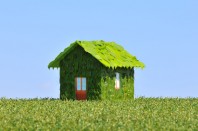 maison-verte