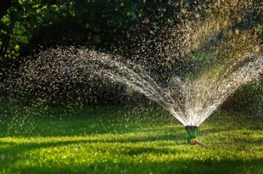 arrosage robinet jardin secheresse herbe mouillee eau