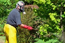 Gardening - Garden Spray