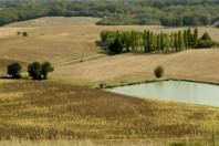 bassin