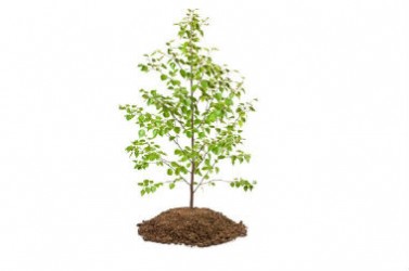 Fotolia_51480336_XS