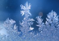 Les textes officiels qu’il ne fallait pas manquer durant la trêve des confiseurs de 2025