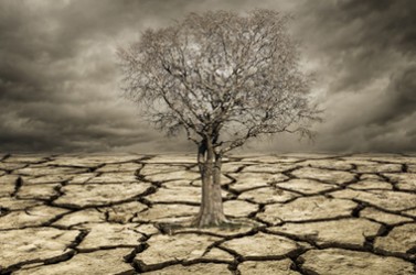 Fotolia_81158369_XS