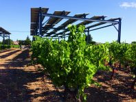 Le domaine de Piolenc permet d’expérimenter la culture de vignes abritées par deux structures de 280 panneaux photovoltaïques.