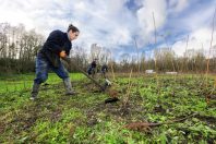 Face au réchauffement climatique, les sols constituent un levier nécessaire pour créer des espaces résilients, raison pour laquelle Angers Loire métropole s’est lancée dans la plantation d’une forêt urbaine de 56 000 arbres sur un espace de 11 000 mètres carrés, dans le parc Balzac à Angers.