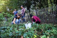 Six jeunes, déscolarisés et sans expérience, ont participé au TIG collectif vert organisé par la ville. Parmi les activités proposées, une séance de jardinage.