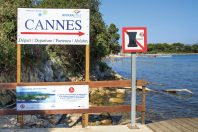 Située sur le territoire de Cannes, l’île Sainte-Marguerite, la plus grande des deux îles de Lerins, a progressivement supprimé ses 300 poubelles.