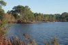 Située au sud de Bordeaux, la réserve biologique mixte d’Hostens a vocation à conserver des milieux ouverts de landes humides et de lagunes, devenus rares.
