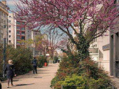 Installées dans les plantations, des sondes livrent des informations sur leur développement et précisent le référentiel de végétaux mis en place.