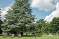 La ville de Genève fournit, entre autres prestations, l’habillage de la personne décédée, sa mise en bière, l’­incinération ou l’inhumation.