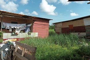 Guyane : un plan intercommunal adapté à l’habitat informel