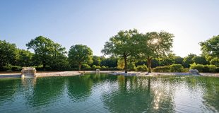 Le lagon du bois de Saint-Pierre (Smarves) bordé de chênes