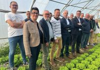 Restauration scolaire : comment la Scic crée le circuit court entre l&rsquo;assiette et la production locale