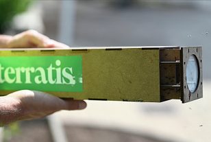 Une technique prometteuse pour stériliser les moustiques tigres