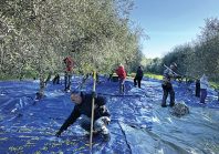 Bio local : comment un village de 3800 habitants nourrit les cantines d&rsquo;Antibes