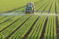 Traitement des champs par un agriculteur