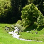 A ce stade, l’Agence française de la biodiversité ne recouvre, pour l’essentiel, que les milieux aquatiques. 