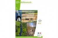 Sans titre