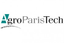 Sans titre