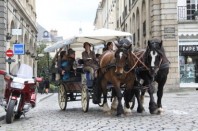 cheval