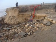 L'île d'Oléron a été très touchée par la tempête de début janvier. Ici, le site de Grand Village. [Cliquer pour agrandir]