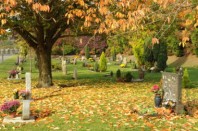 jardin_souvenir