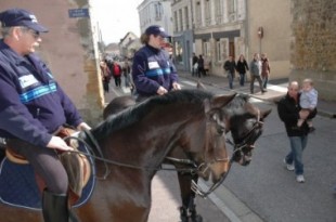 policeCheval