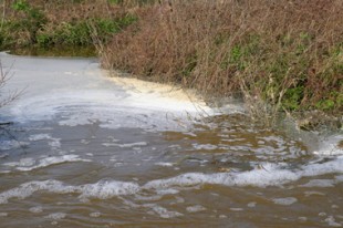 pollution eau