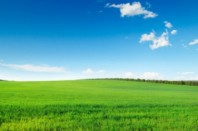 Selon l’AMRF, la solution que l’Etat promeut coûtera plus cher au final.