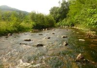 seuil rochette après