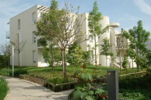 siam-conseil-2