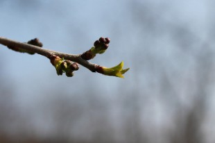transition