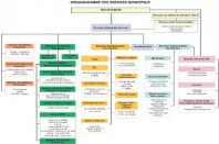 une-organigramme