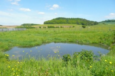 une-zrv-rhin-meuse